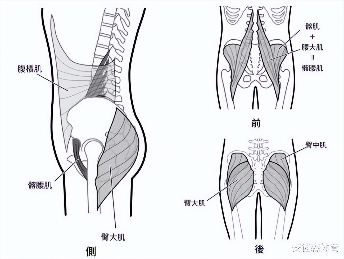 深呼吸是缓解疲劳最直接的方法,舒缓肩颈轻松告别疲劳僵硬