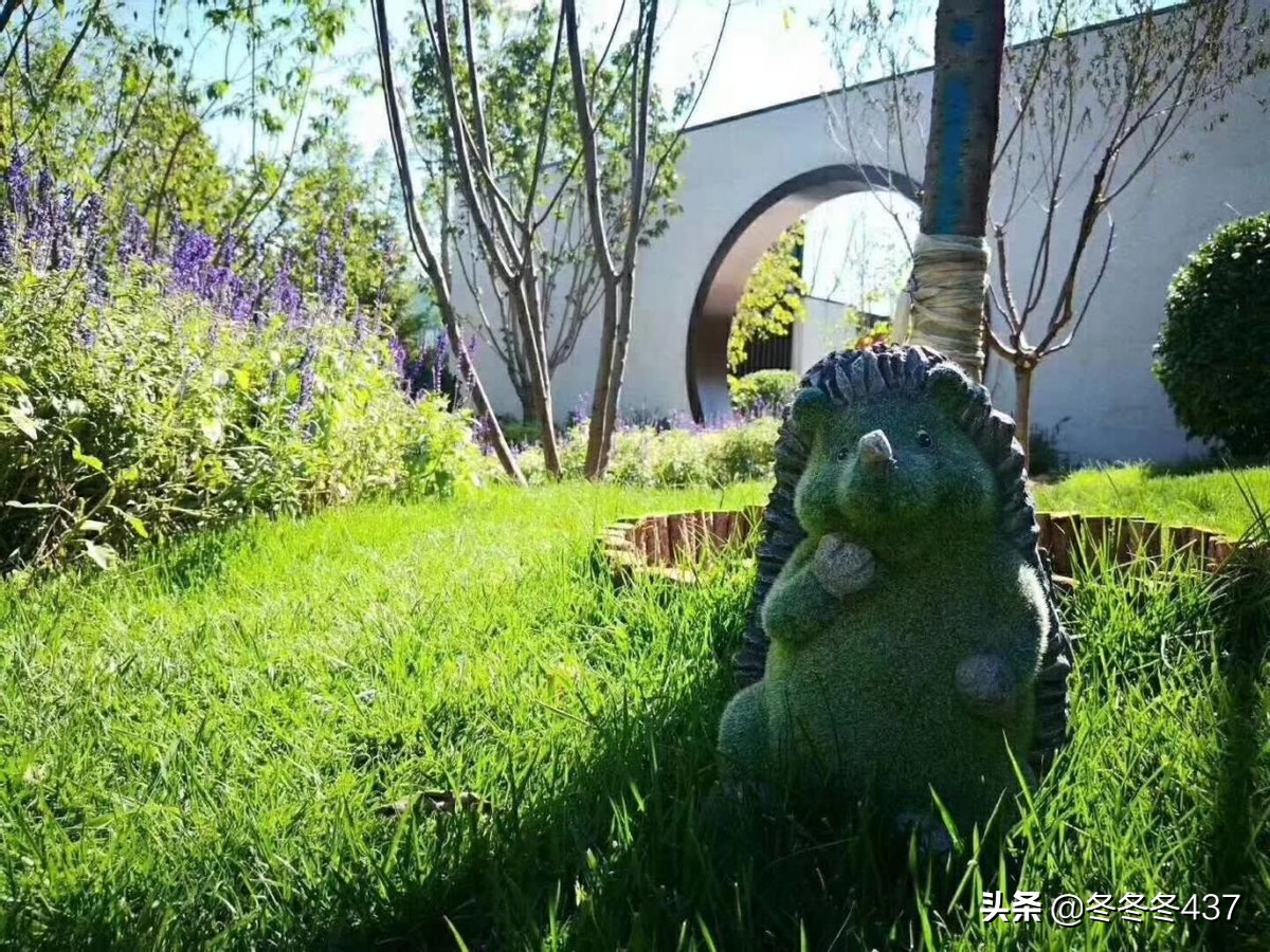 过江龙vs地头蛇,过江龙怎么跟地头蛇斗法