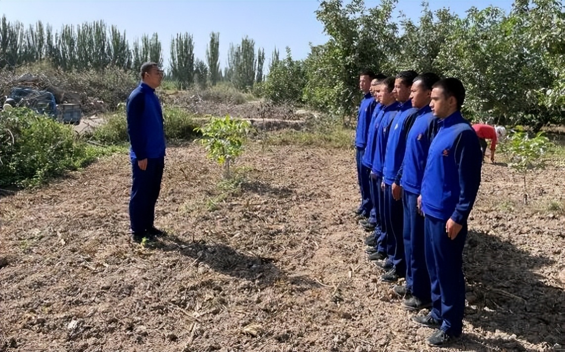 辛有志助农带货超7亿元，“火焰蓝”助力村民采摘核桃