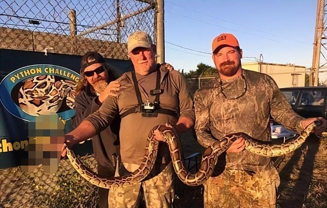 美洲豹捕杀鳄鱼为什么咬背部脖子,美洲豹捕杀鳄鱼压住鳄鱼