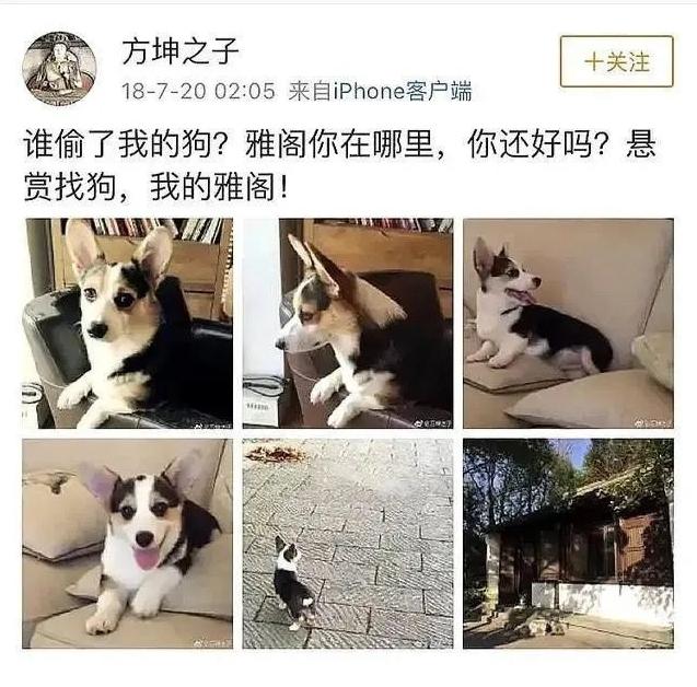 以为是谣言实际是真事，撒贝宁、郑中基、成龙个个离谱，件件惊人