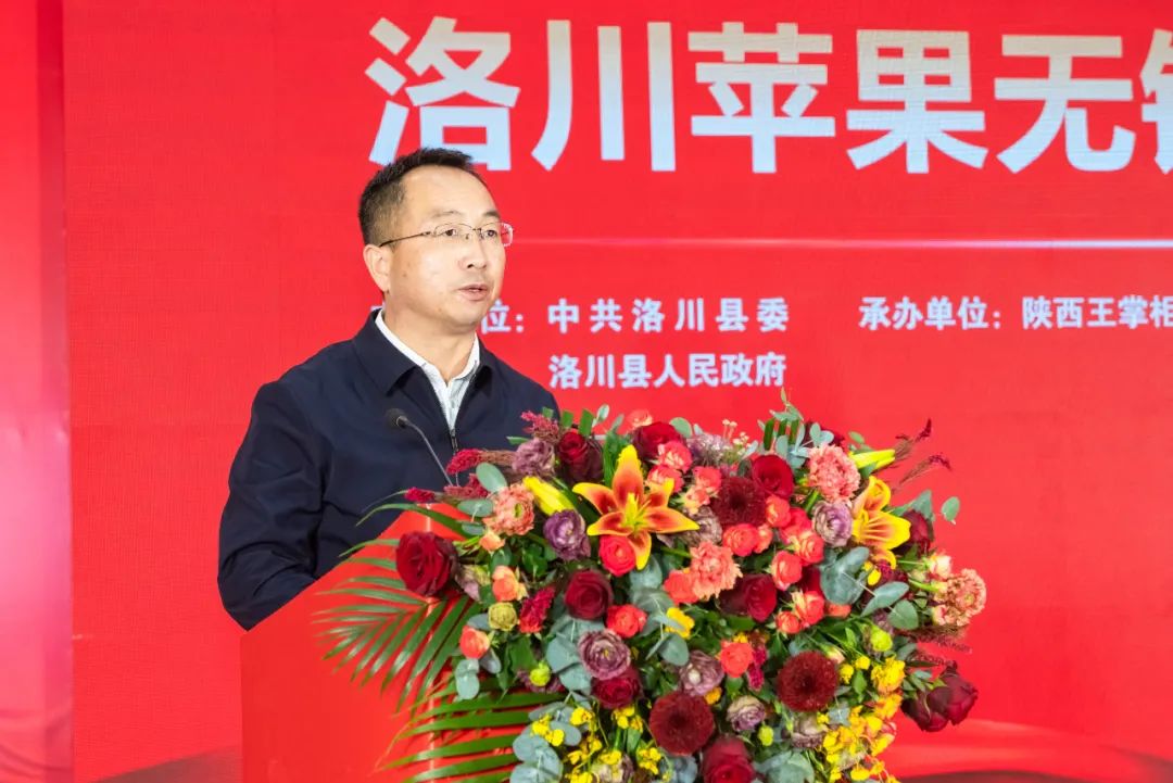 一起来看美丽的淀山湖,一起来看苏州京杭大运河