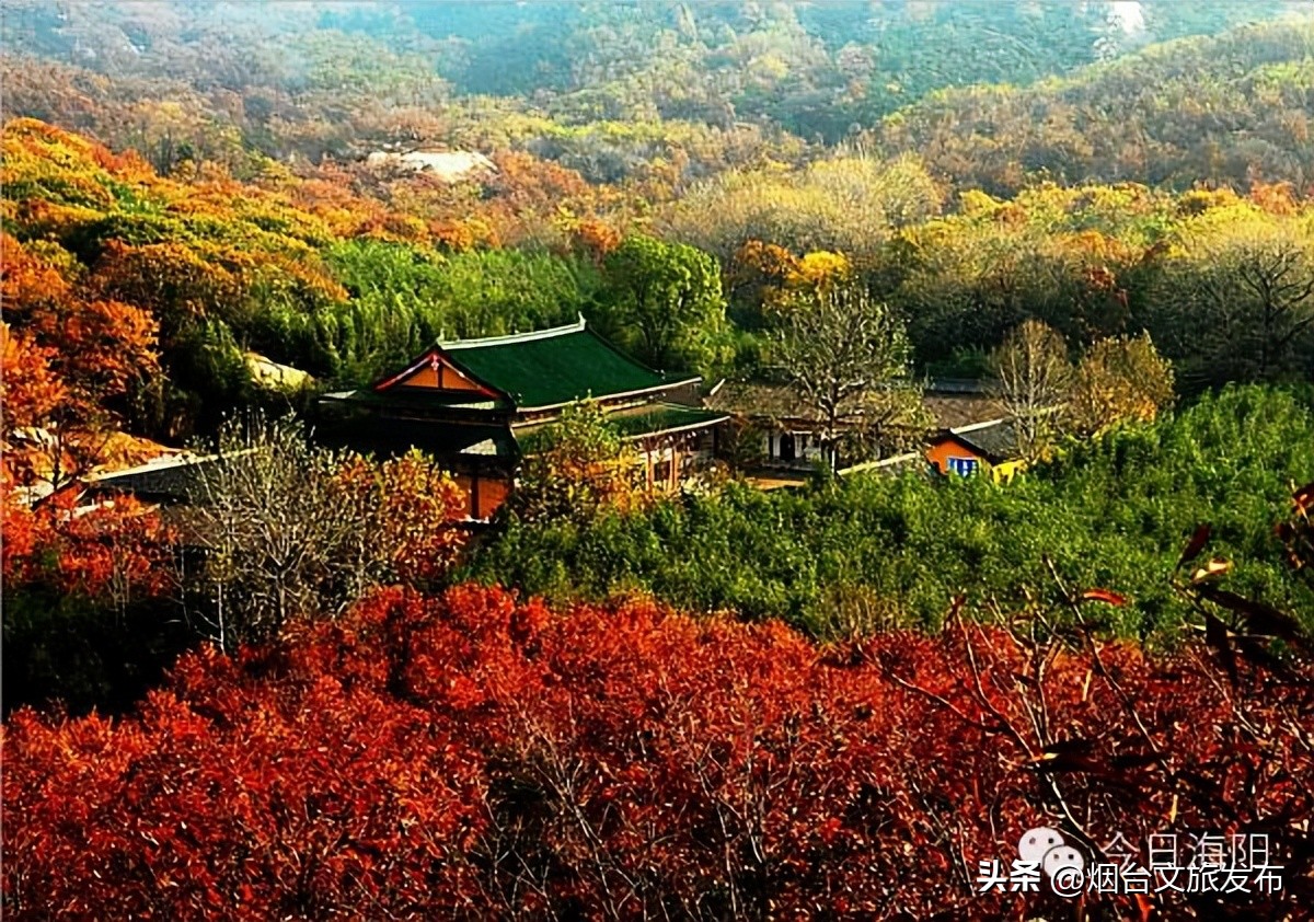 魅力海阳行,魅力新浦海阳