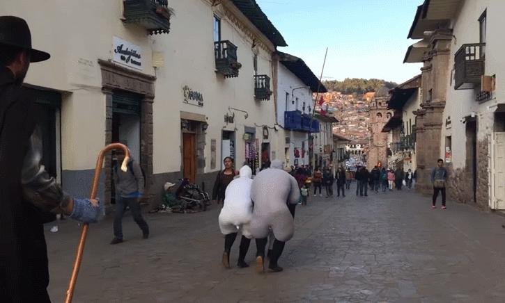 加拿大舞团harry,加拿大舞团模仿羊