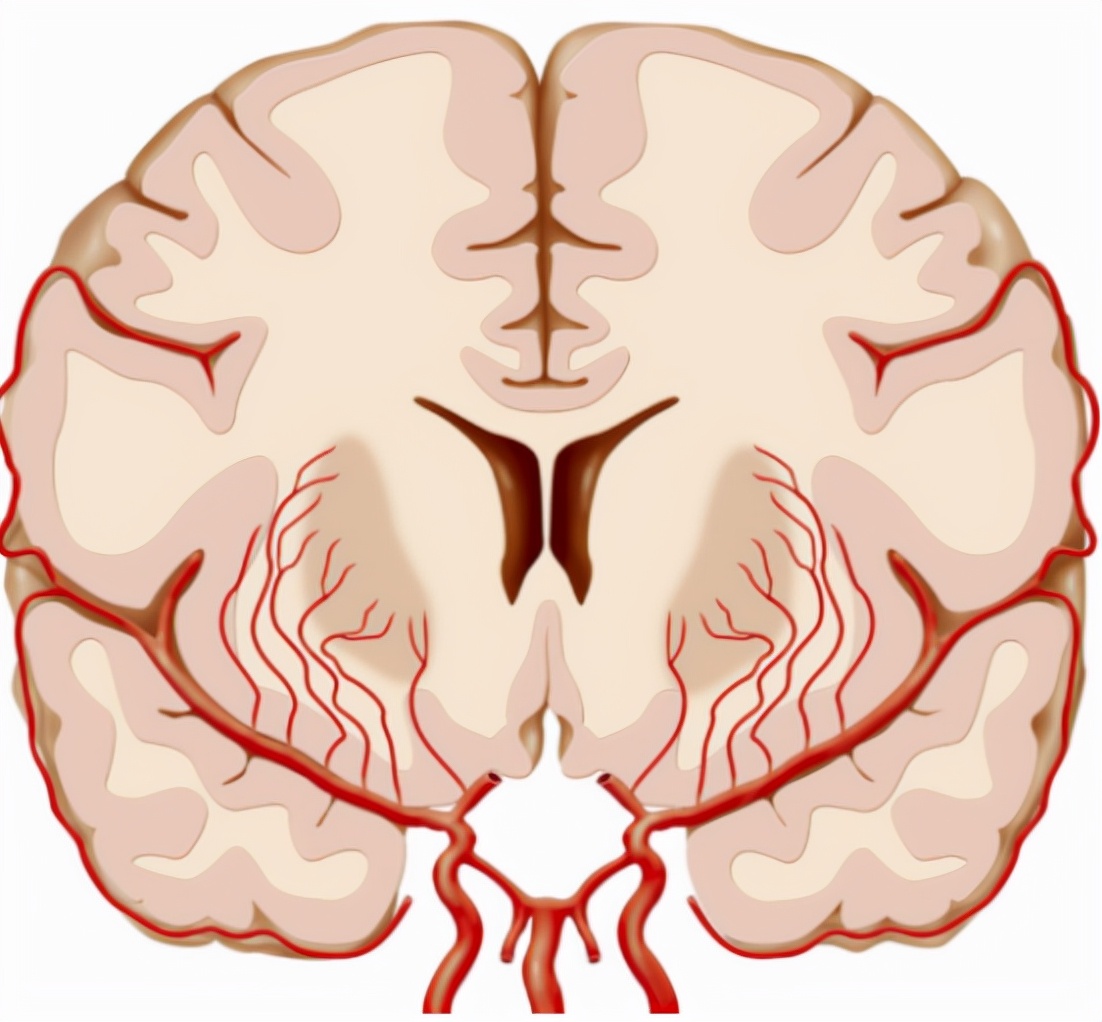 地平类药物针对哪种高血压,治疗高血压的地平药有哪几种
