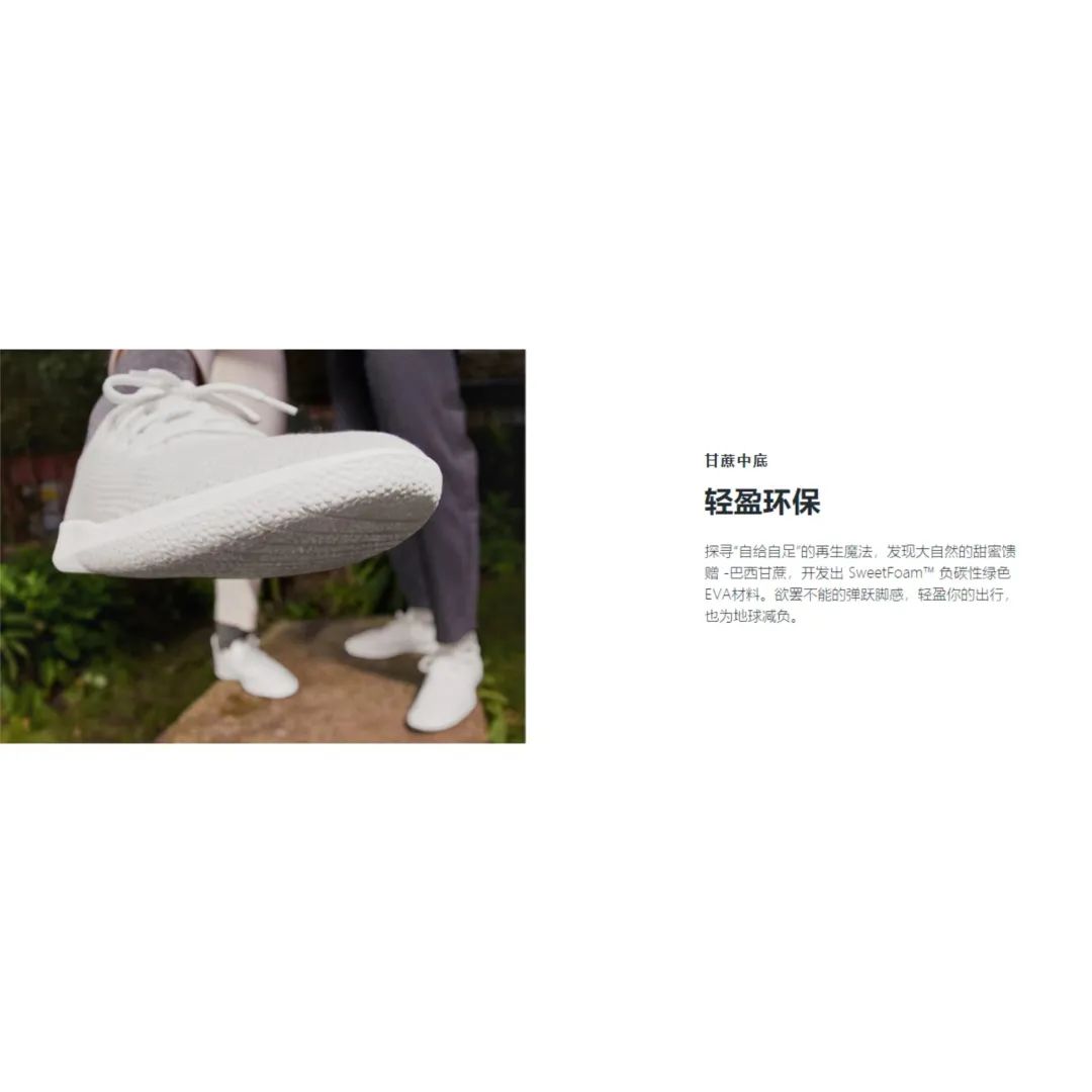 品牌市值逾41亿美元——深入剖析AllbirdsSEO和广告的过人之处