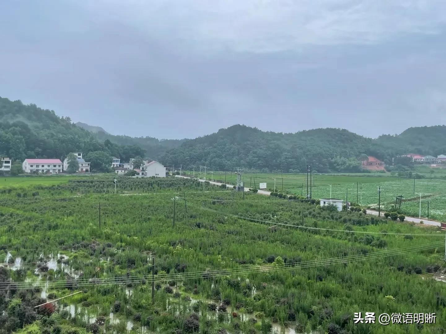 【微语明晰（1102）】EPC全咨实务之一