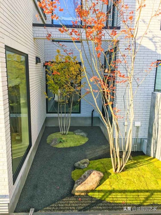 庭院中种什么树最好,庭院栽什么树最旺宅