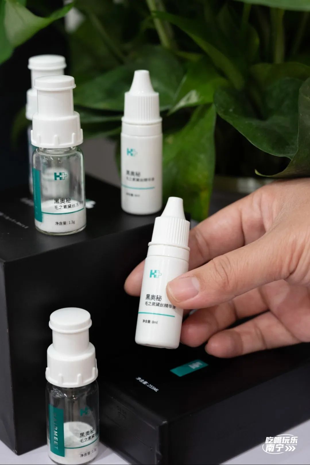 大数据请把这篇文章推给头发焦虑的南宁人