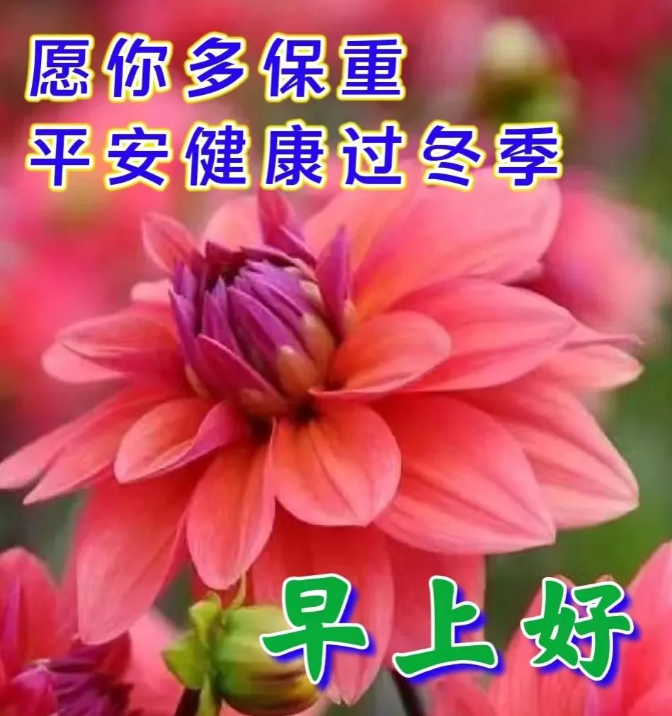 周一早安最暖心的祝福图片图文,最新周一早上好祝福图片