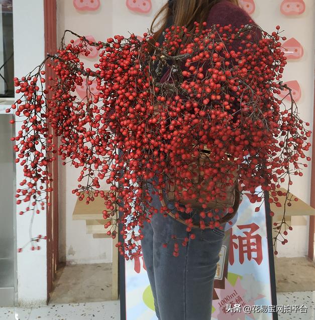 9月份红色好看的花材,颜值高的花束合集