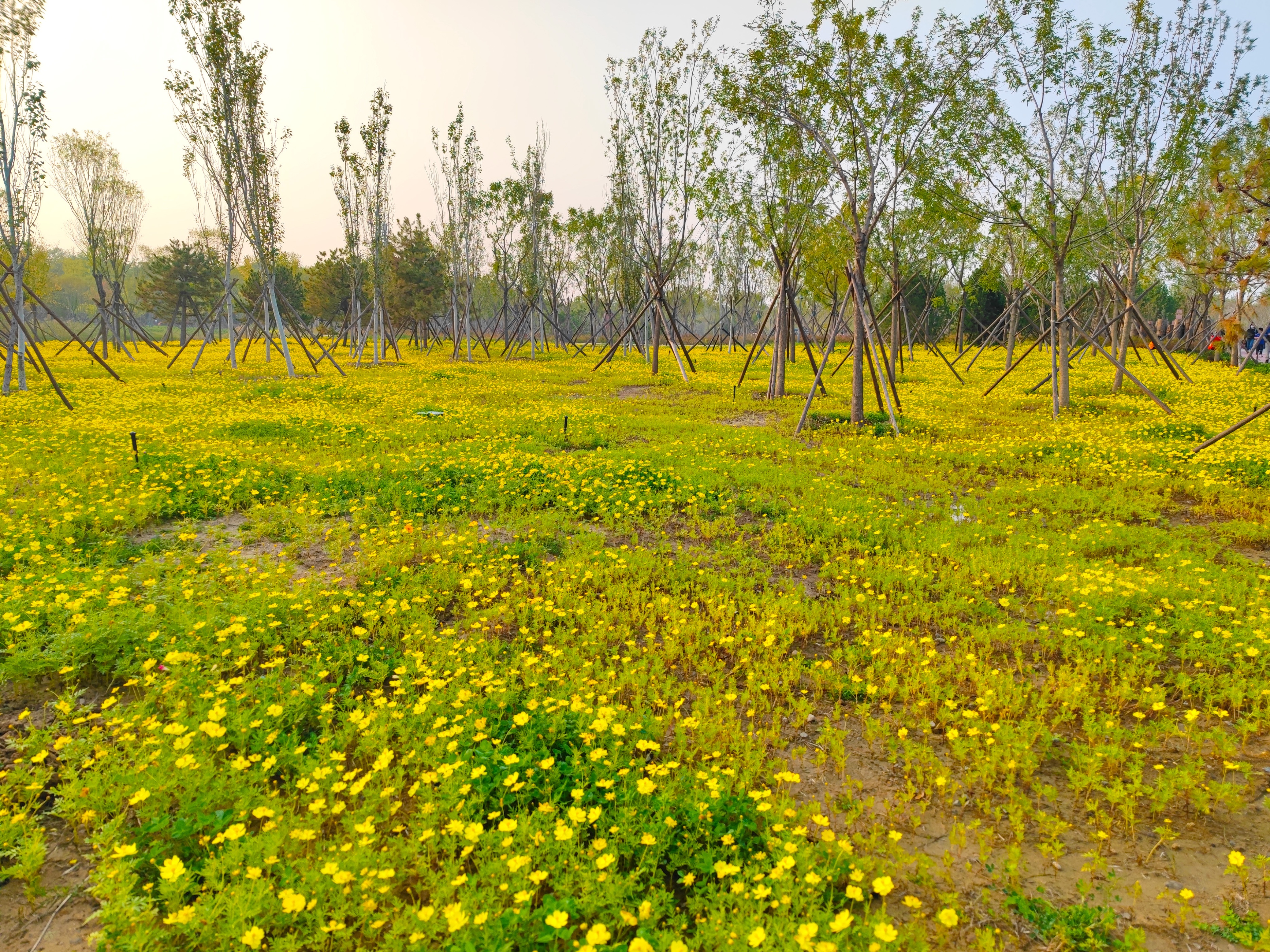 北京最值得去玩的自然风景公园,北京巨型公园免费景点