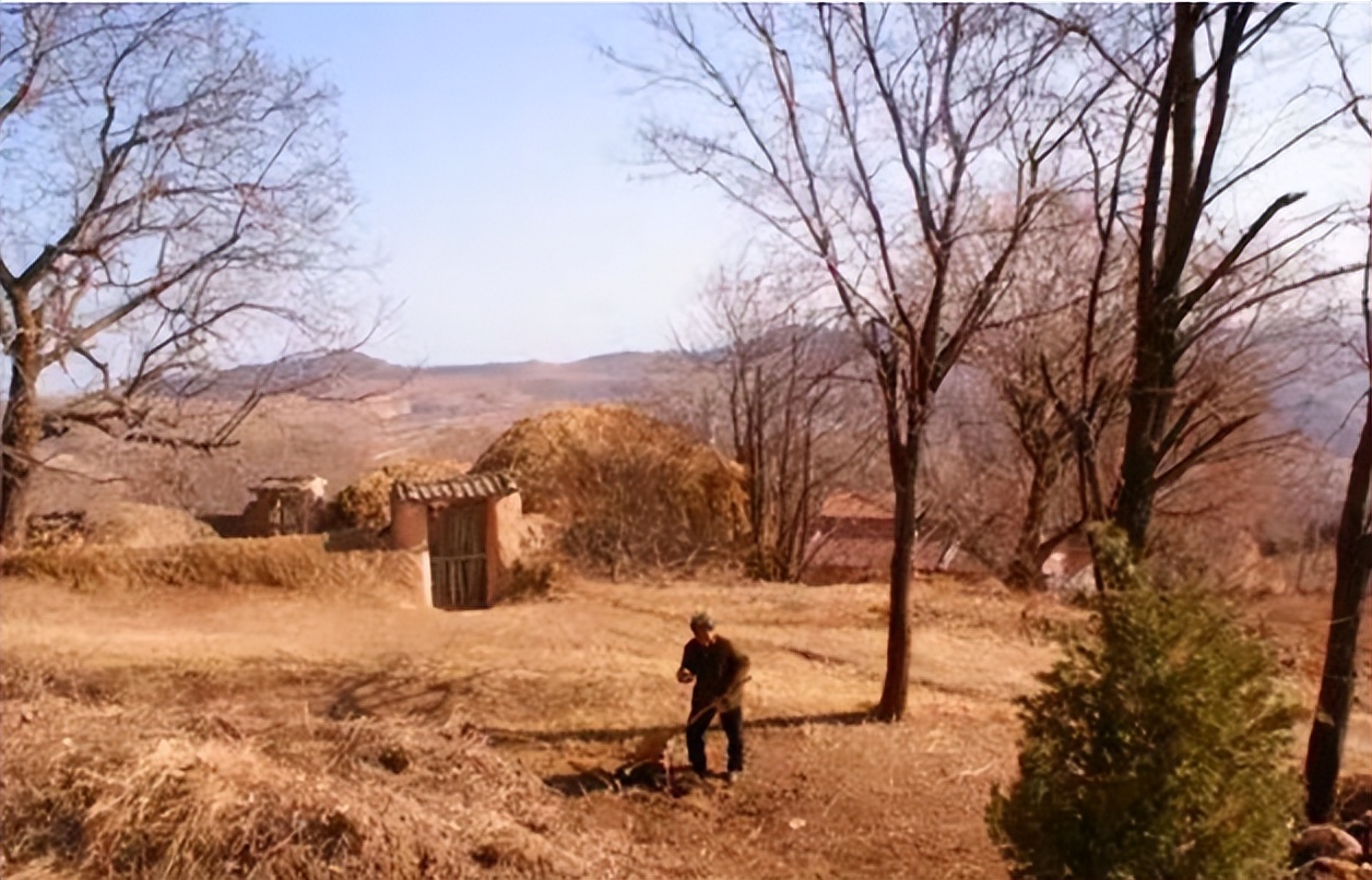 新农合涨价还能继续交吗,新农合涨价六类人不用交