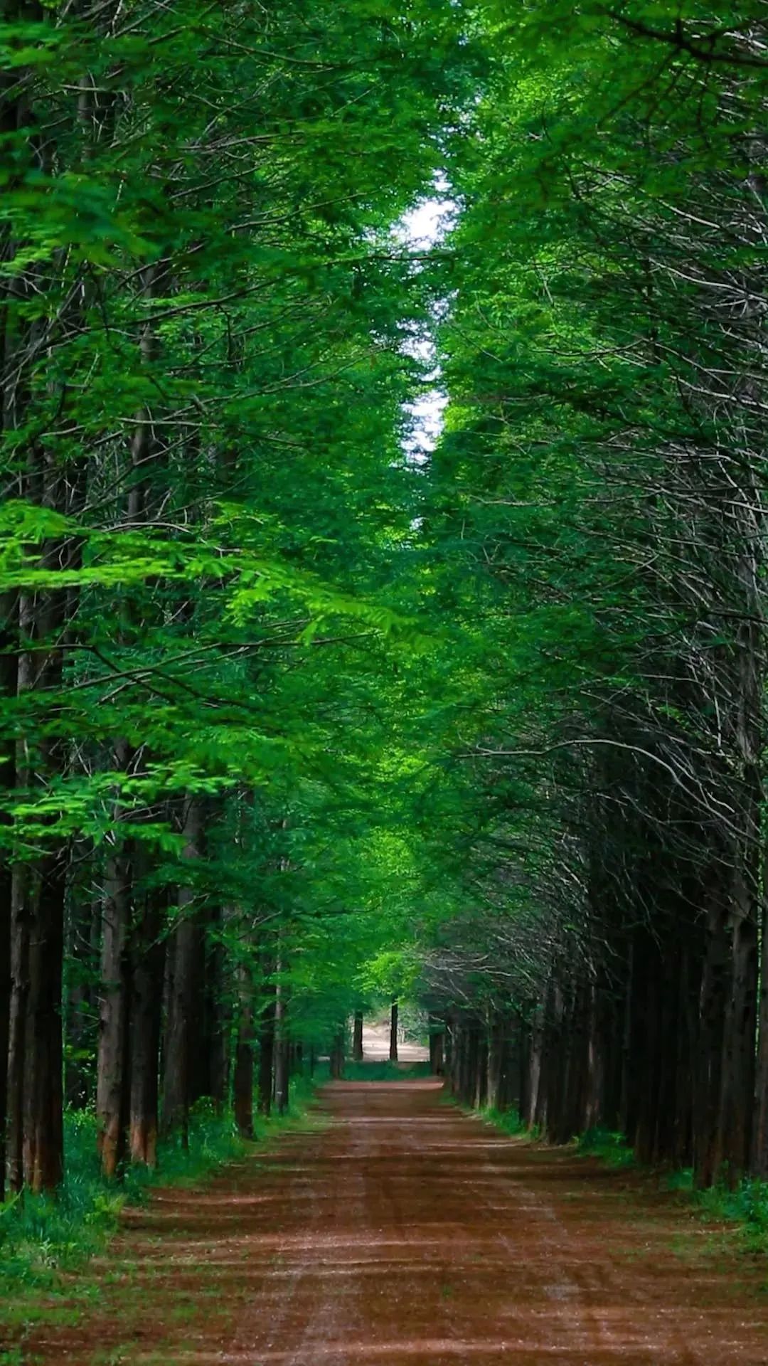 江苏人为什么喜欢去山东看海,去山东哪里看海最好