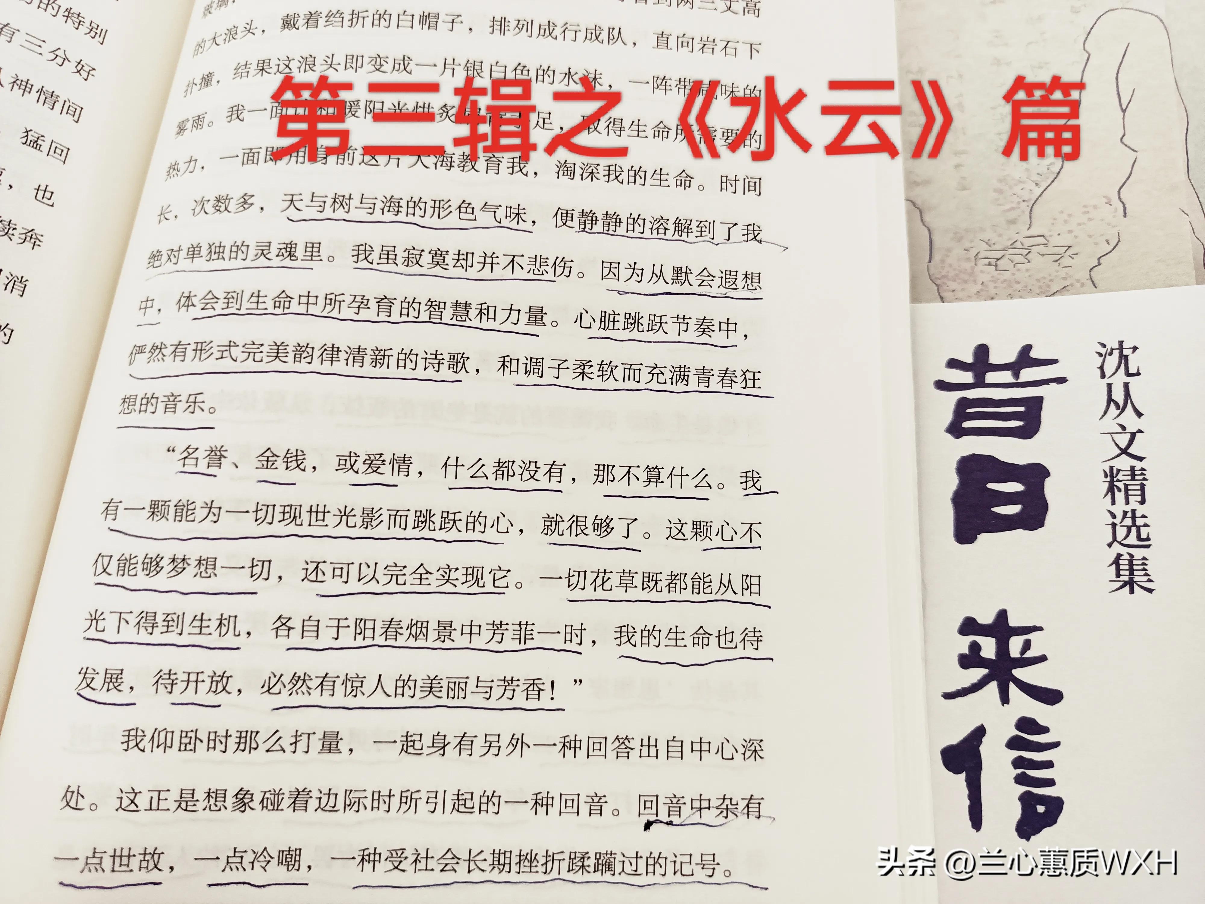 昔日来信沈从文,沈从文写给自己的家乡