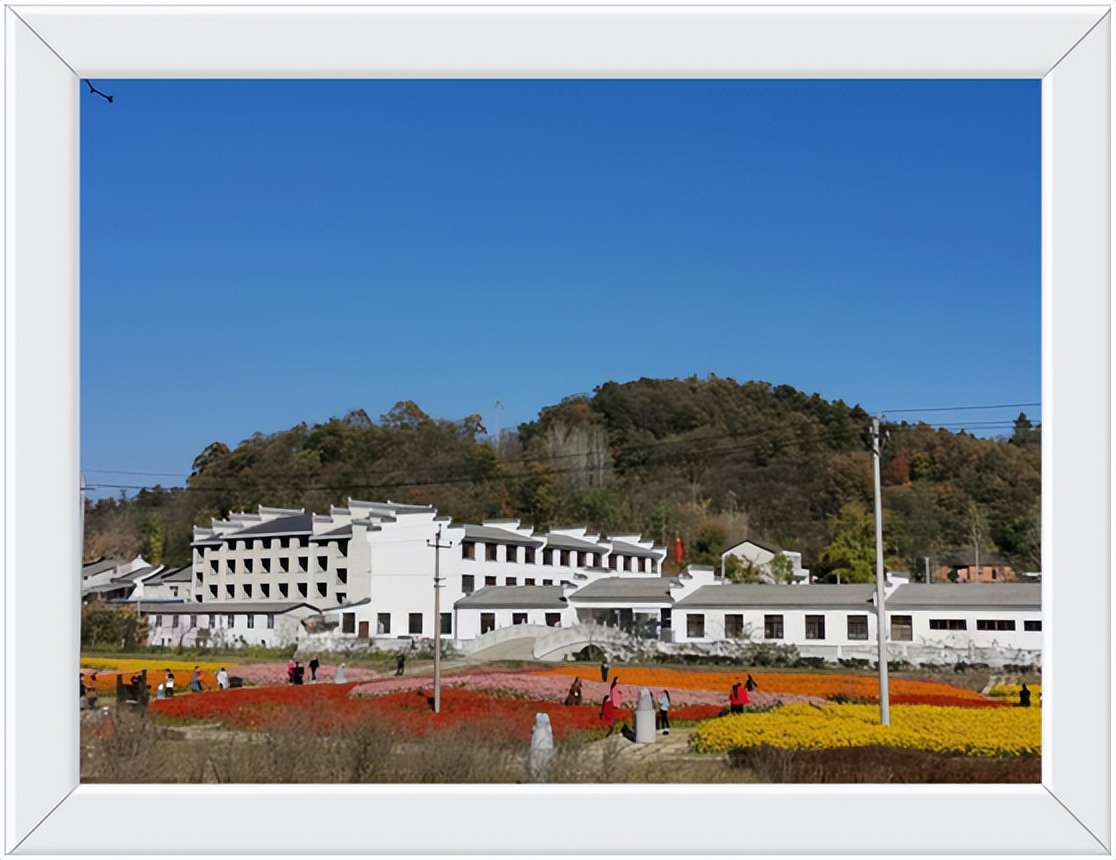 中国千年银杏谷住宿,中国千年银杏谷
