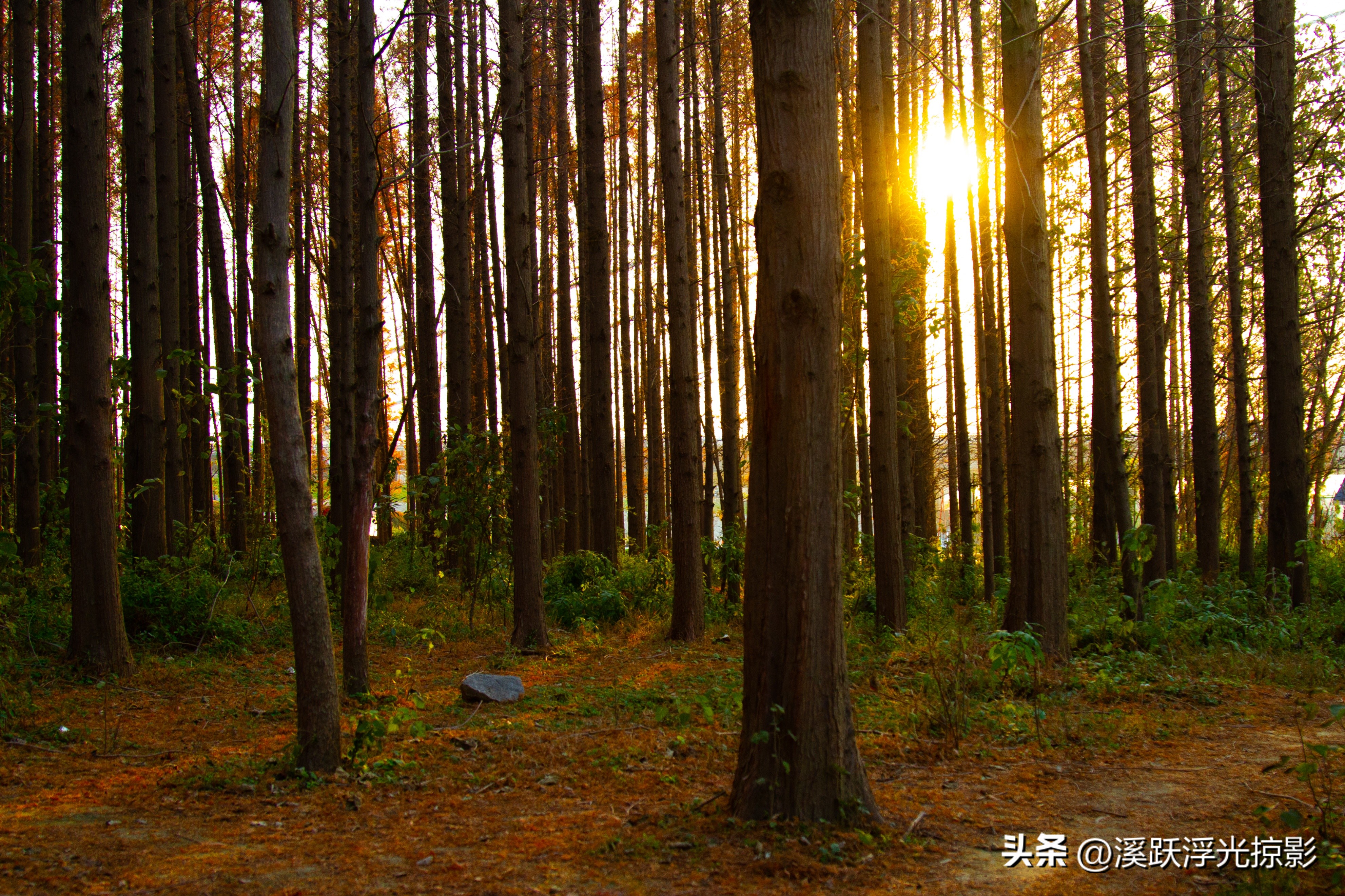单反相机十大缺点,老相机真的不行了吗