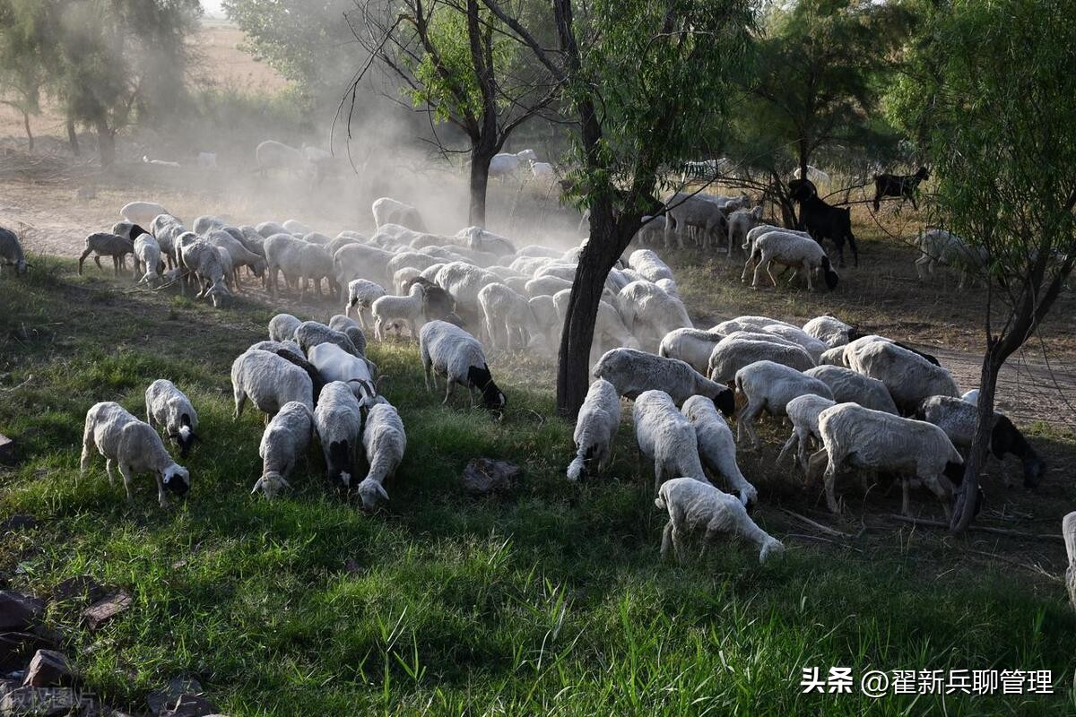 从钓鱼悟到的人生道理,钓鱼路上感悟人生最经典