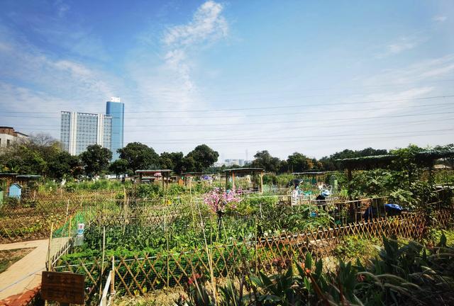 都市农业公园广州,广州农业公园近况