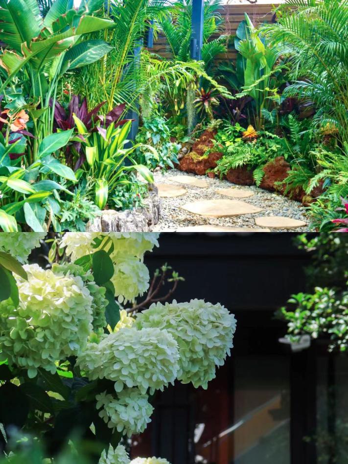 昆明六一出行攻略,昆明六一儿童节游玩推荐