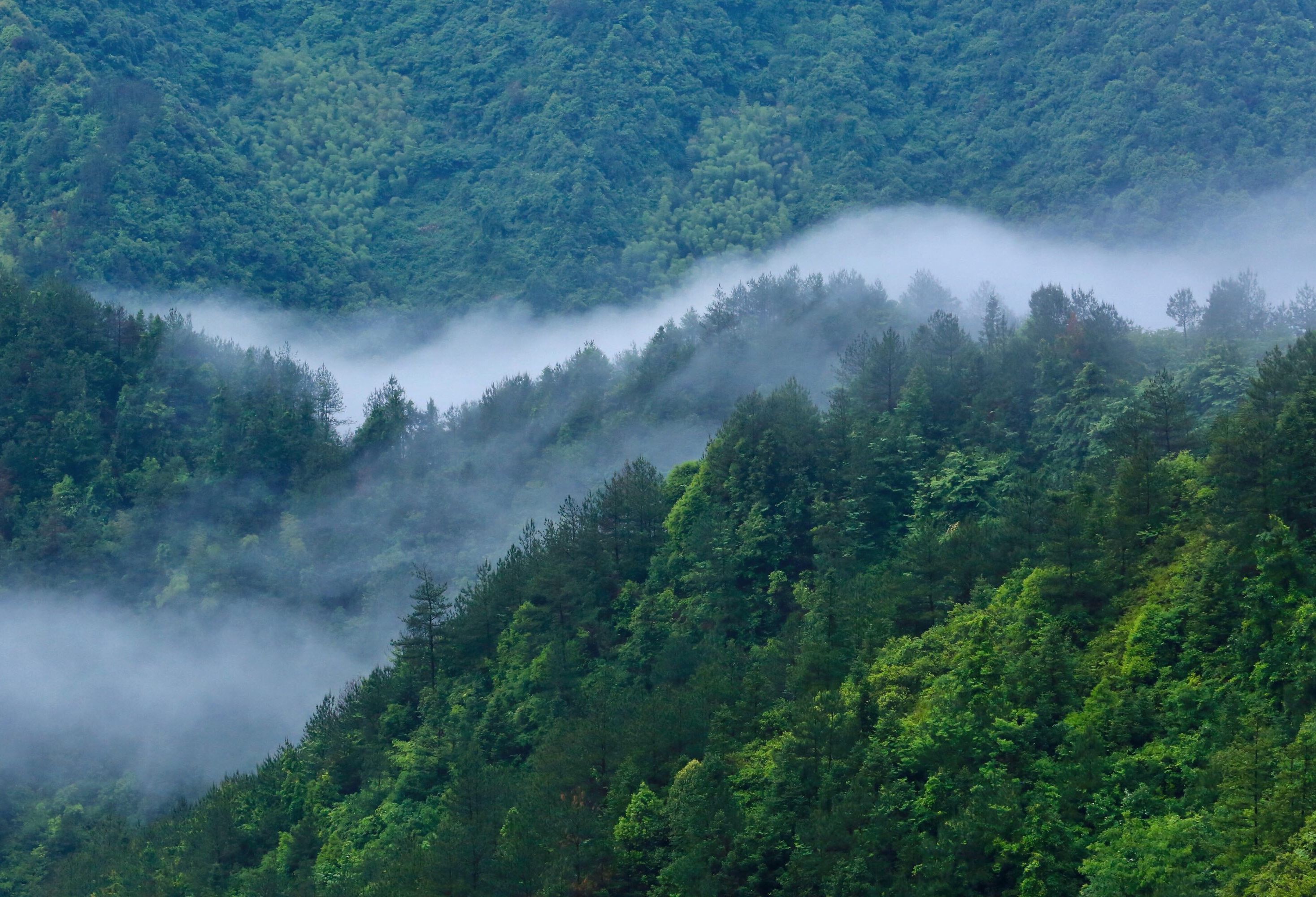 假期出游小众旅游地更受青睐,节日出游要去小众的地方