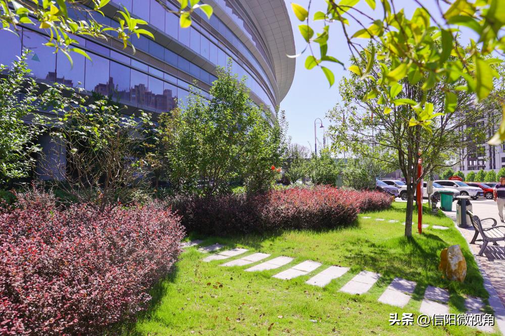 夏日限定!带您沉浸式体验信阳市人民医院的绿意芳香