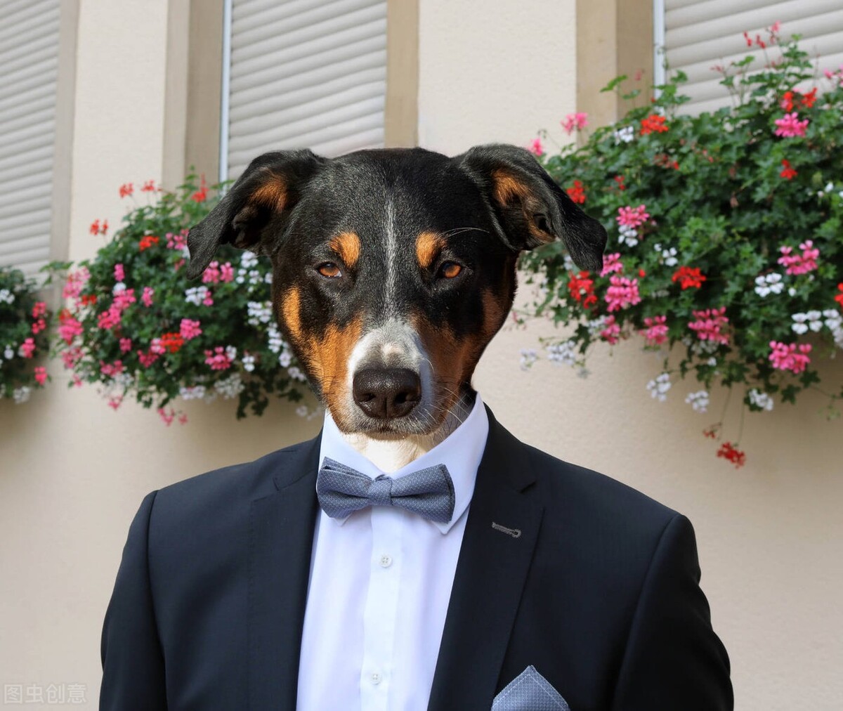 让你看清一个整天甜言蜜语的人,小心男人婚前的甜言蜜语