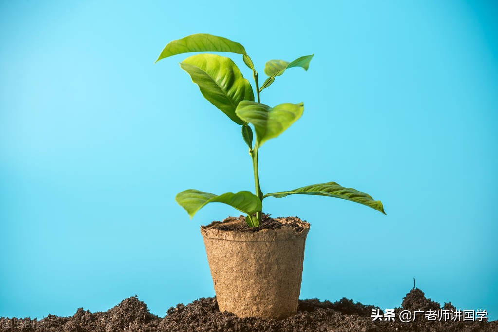 神秘的天干地支视频,天干地支二十二个字是怎么确定的