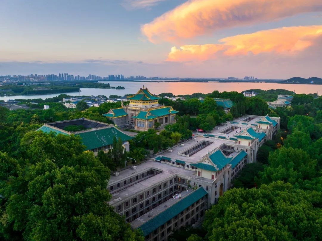 武汉大学哪个专业毕业后工资高,有哪些能够年薪百万的专业