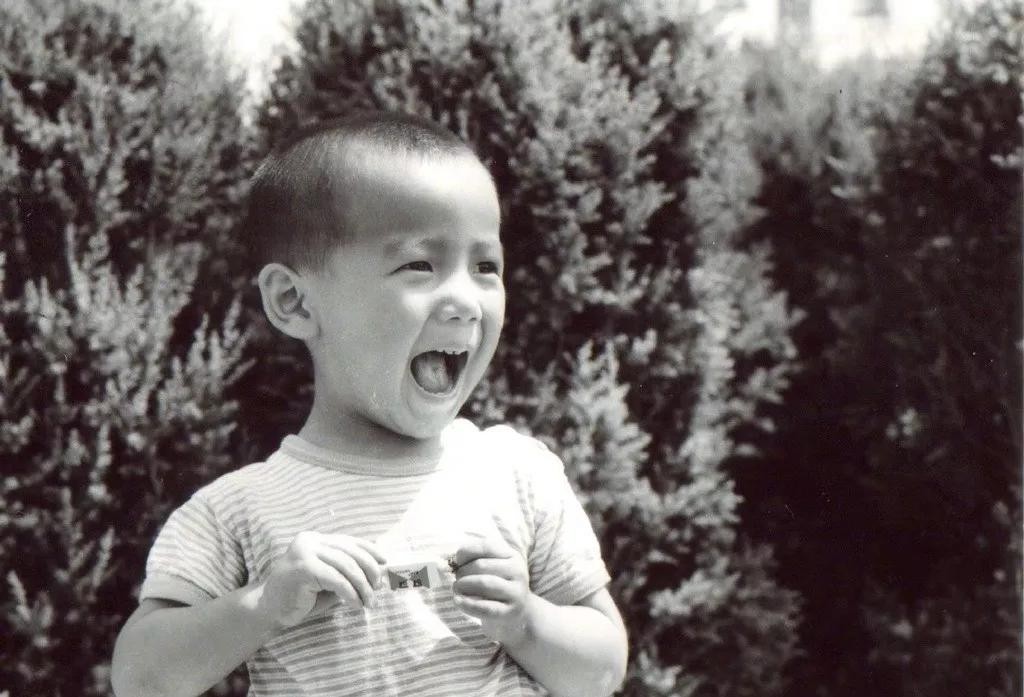 胡海泉和陈羽凡怎么了,胡海泉与陈羽凡现状