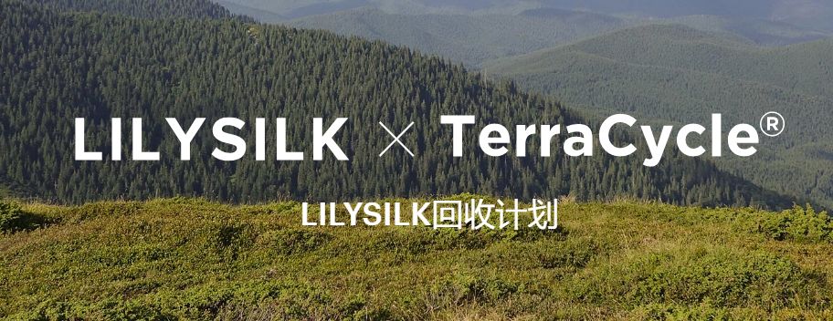 独立站销量,lilysilk品牌怎么样
