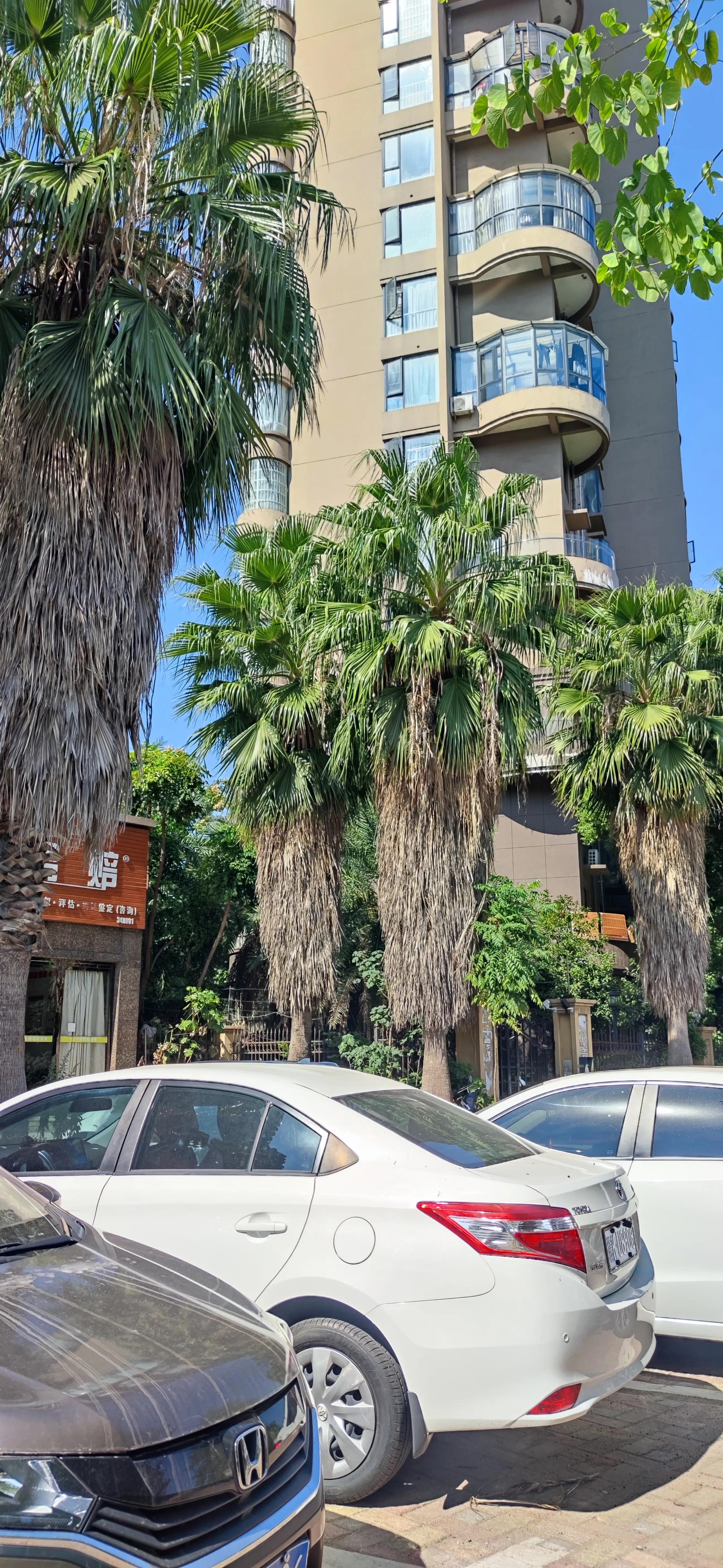 鎴戝彲鐖辩殑瀹朵埂鎶楀嚮鐤儏,鎶楀嚮鐤儏鎴戝彲鐖辩殑瀹朵埂