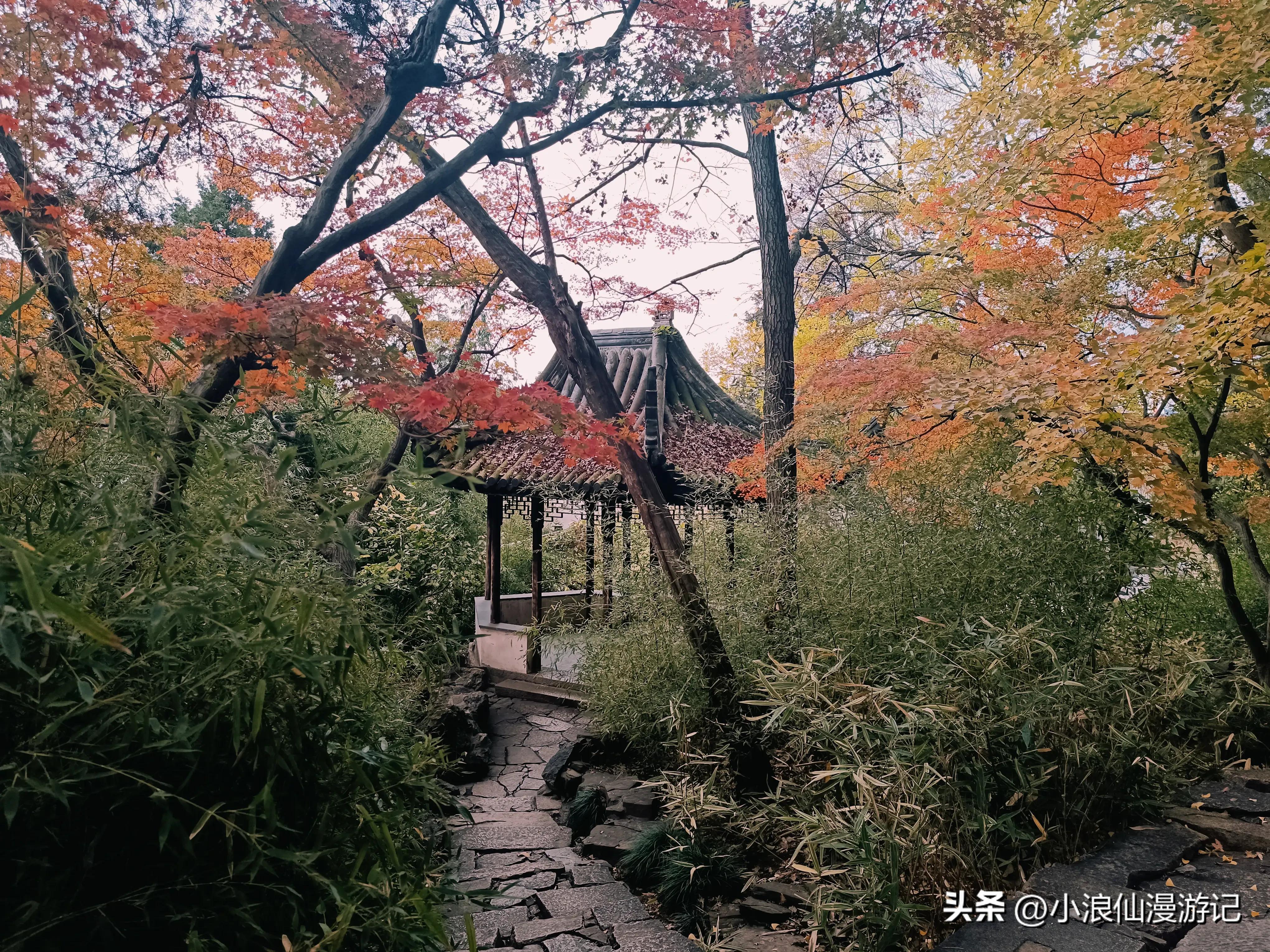 苏州天平山赏枫品茶的句子,苏州赏枫除了天平山还有哪