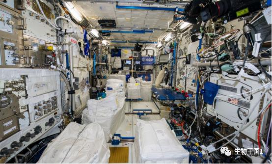 中国空间站与国际空间站尺寸对比,国际空间站与中国空间站内部对比