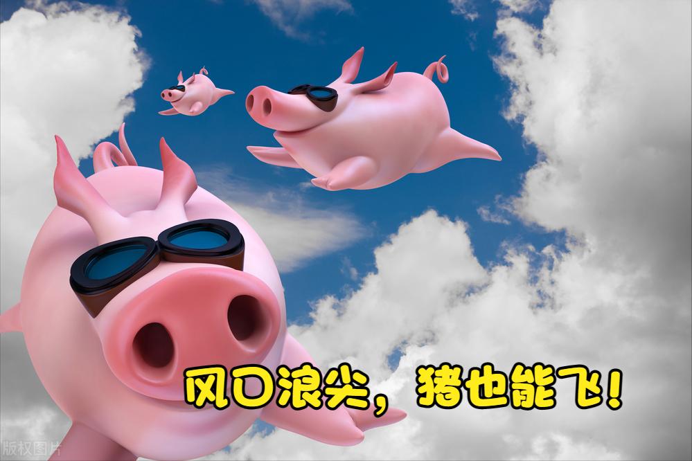 川普精密电子,美国总统川普做了什么