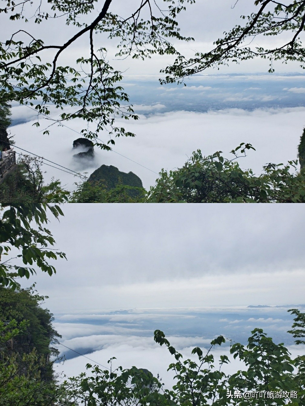 张家界旅游避坑,张家界景区避雷措施有哪些