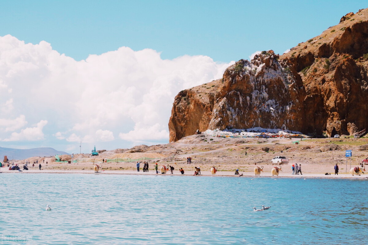 五月*藏西**的天气怎么样？五月去*藏西**游玩要注意什么？