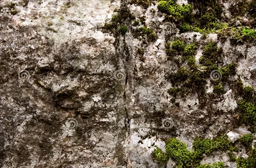 AI生成游戏中基于物理的渲染（PBR）贴图探索