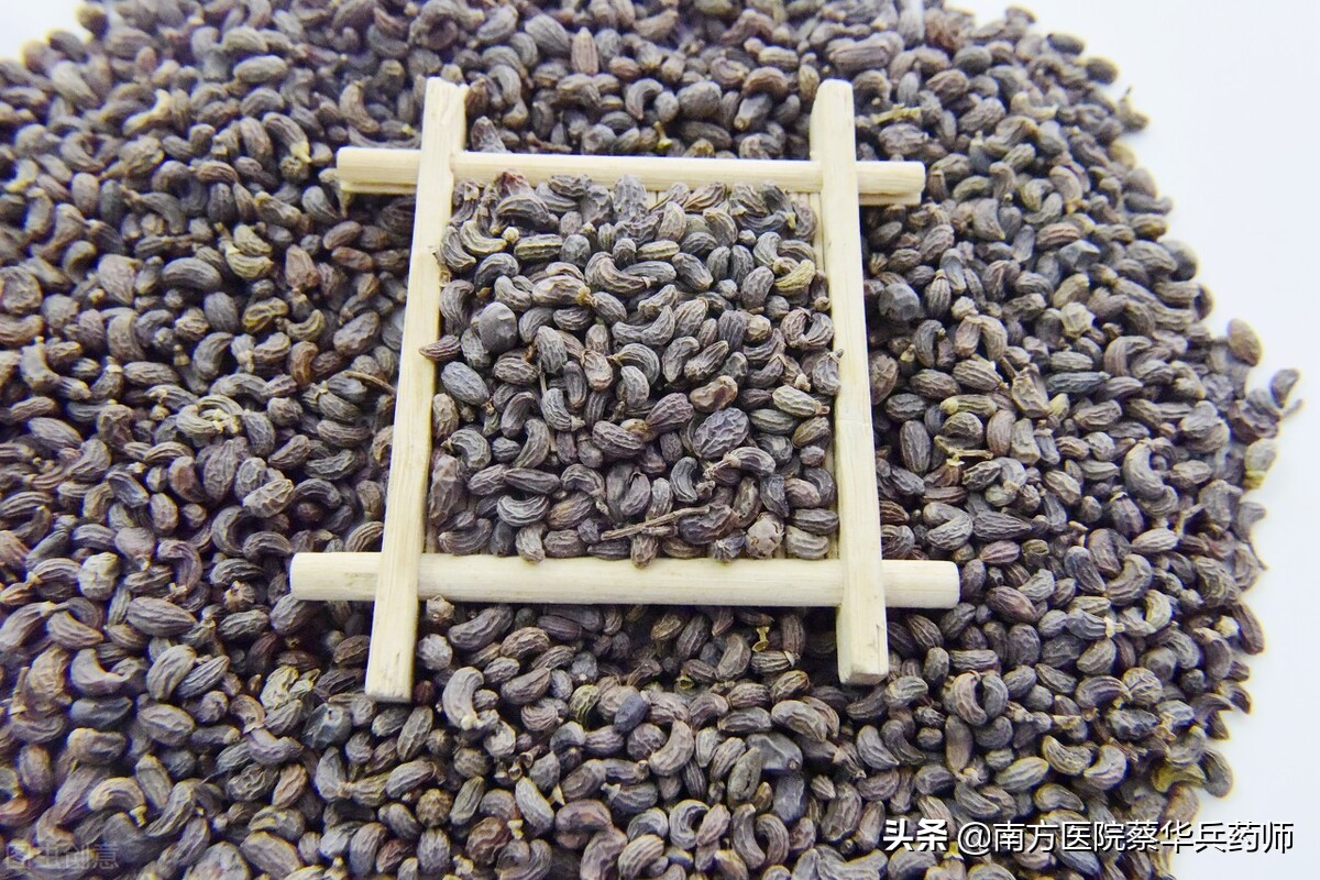 可以补肾阳治耳鸣的中草药,治耳聋耳鸣通络补阴虚中药配方