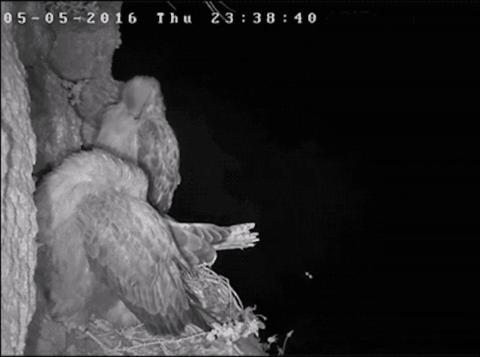 11张照片告诉你大自然的可怕,大自然细思极恐的照片