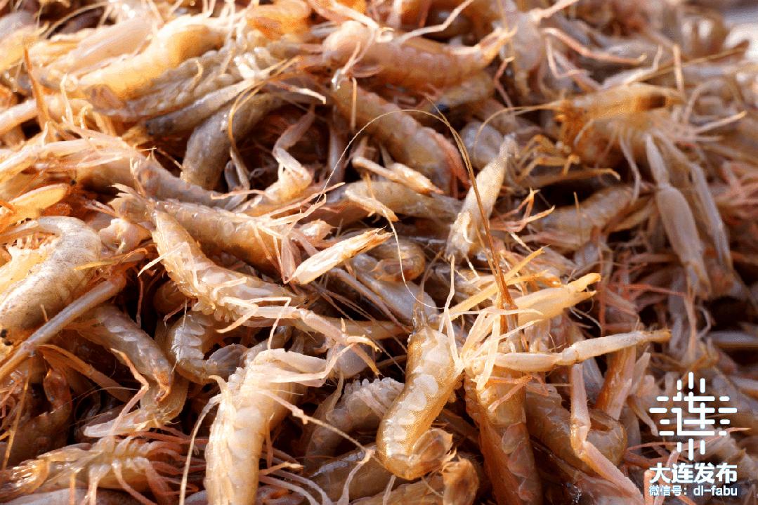 实现海鲜自由的秘诀,实现海鲜自由另一种说法