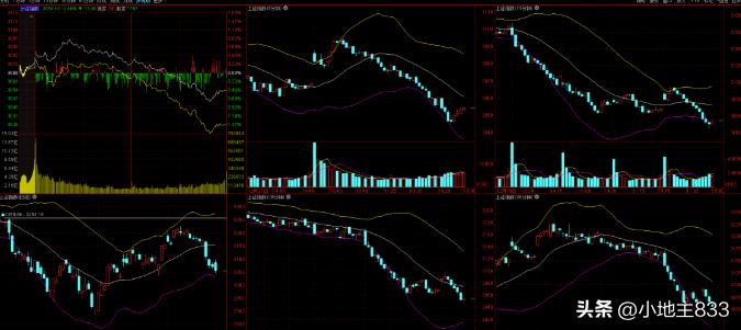 12月23日新闻摘抄,12月23日的新闻