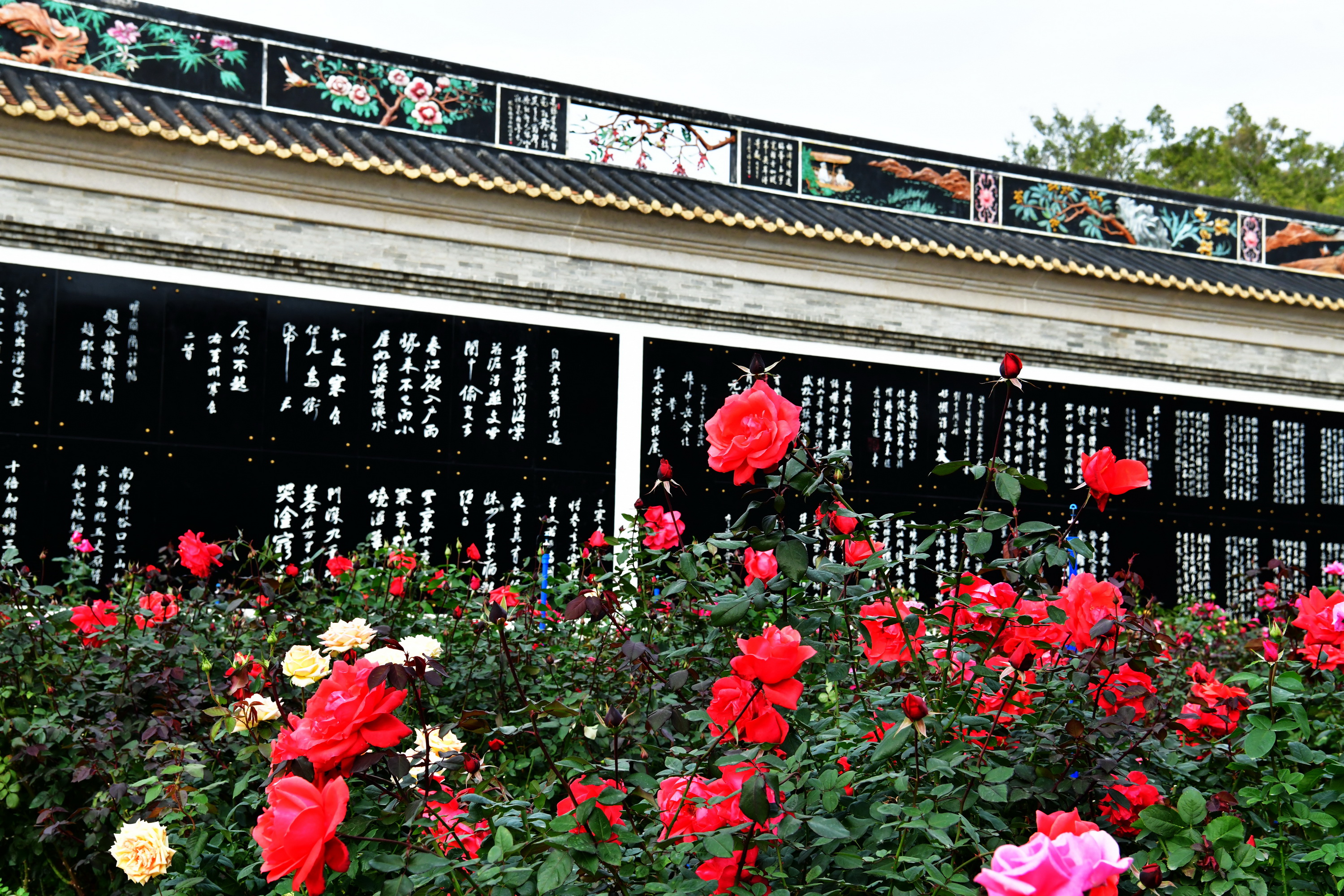 广州市番禺区宝墨园攻略,广州宝墨园景观