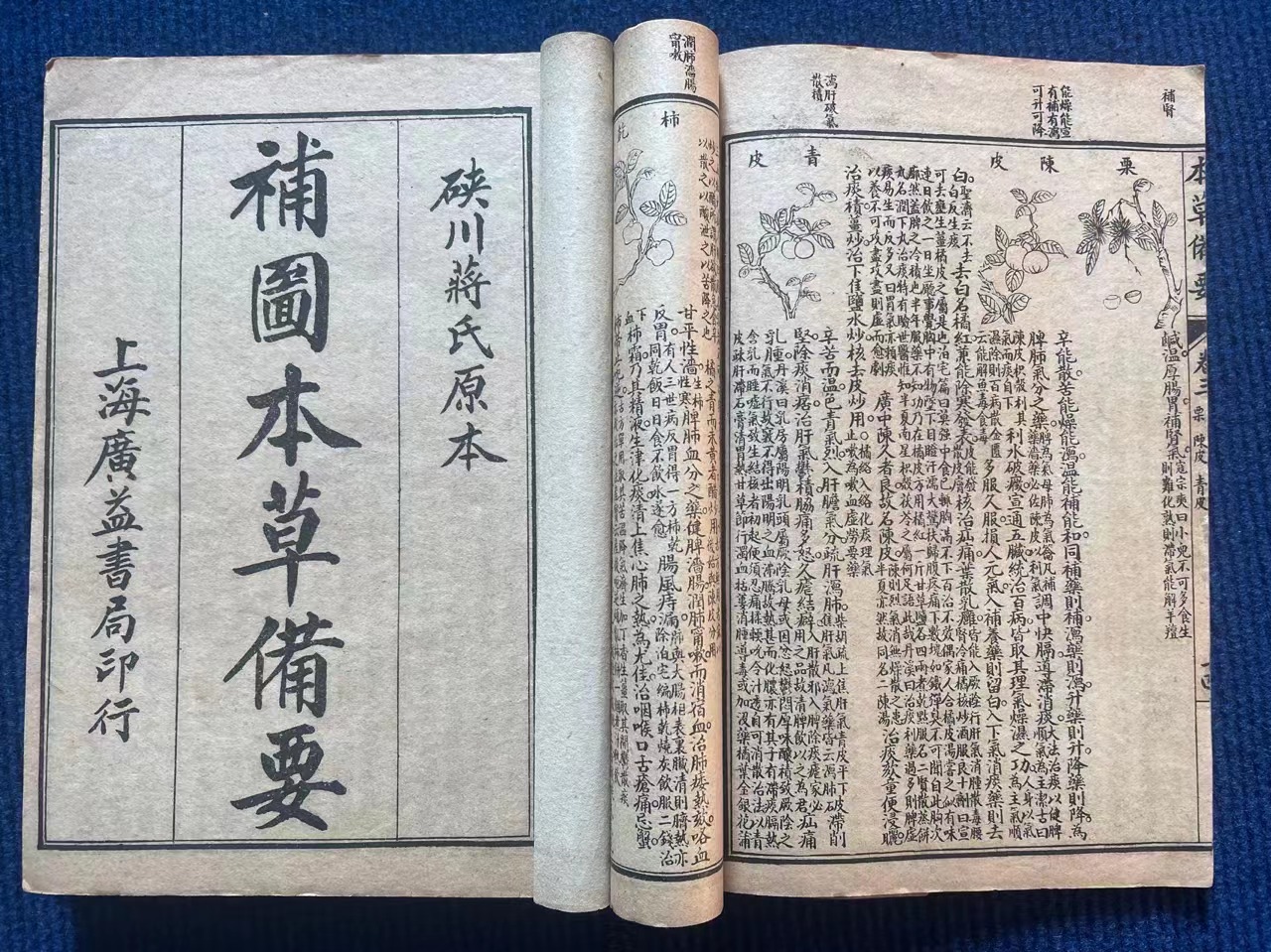 本草纲目关于陈皮的记载,陈皮在神农本草经是上品还是中品