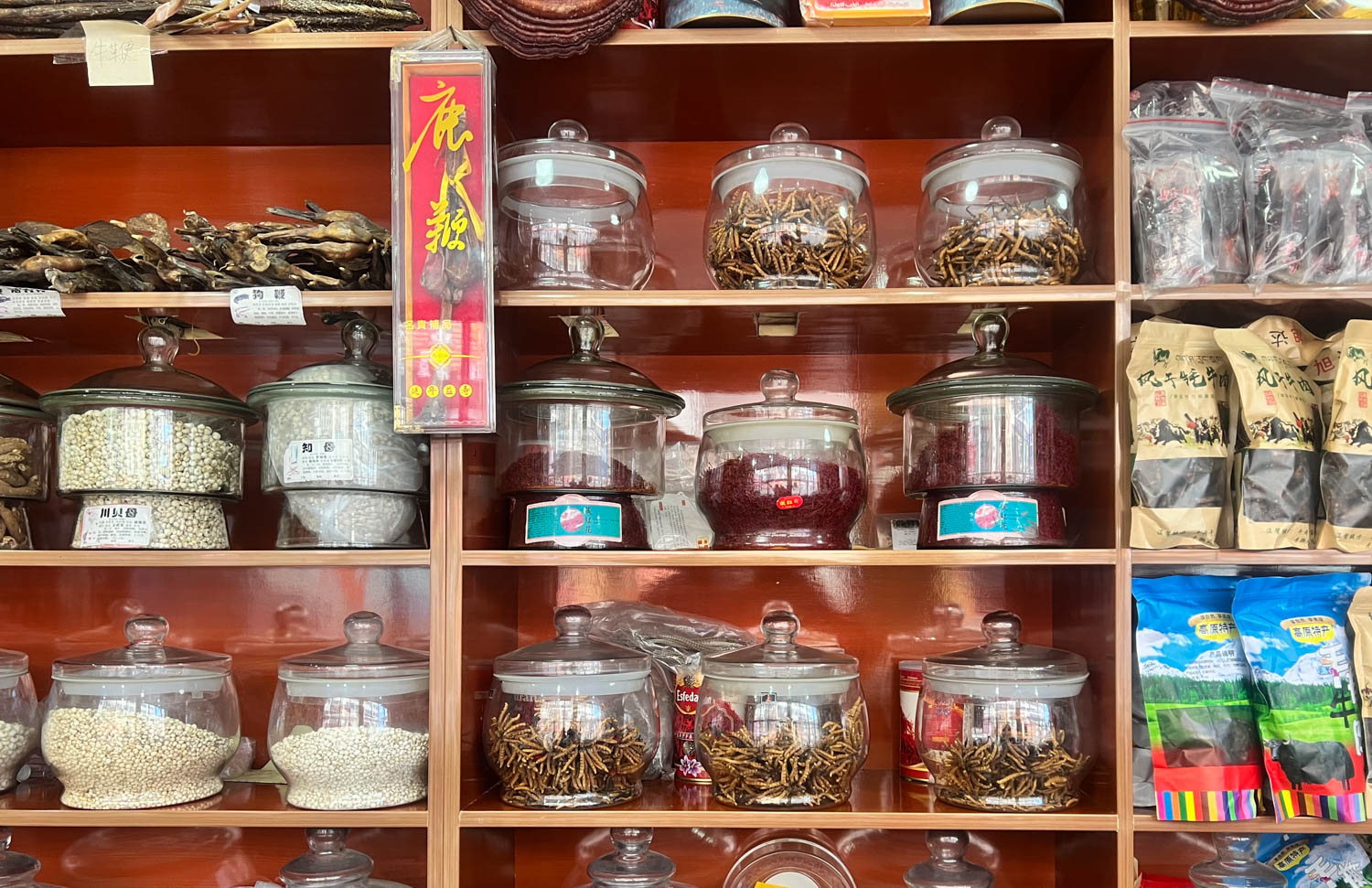 *藏西**东部小城，风光举世闻名，满街都是虫草店，一生一定要游一次