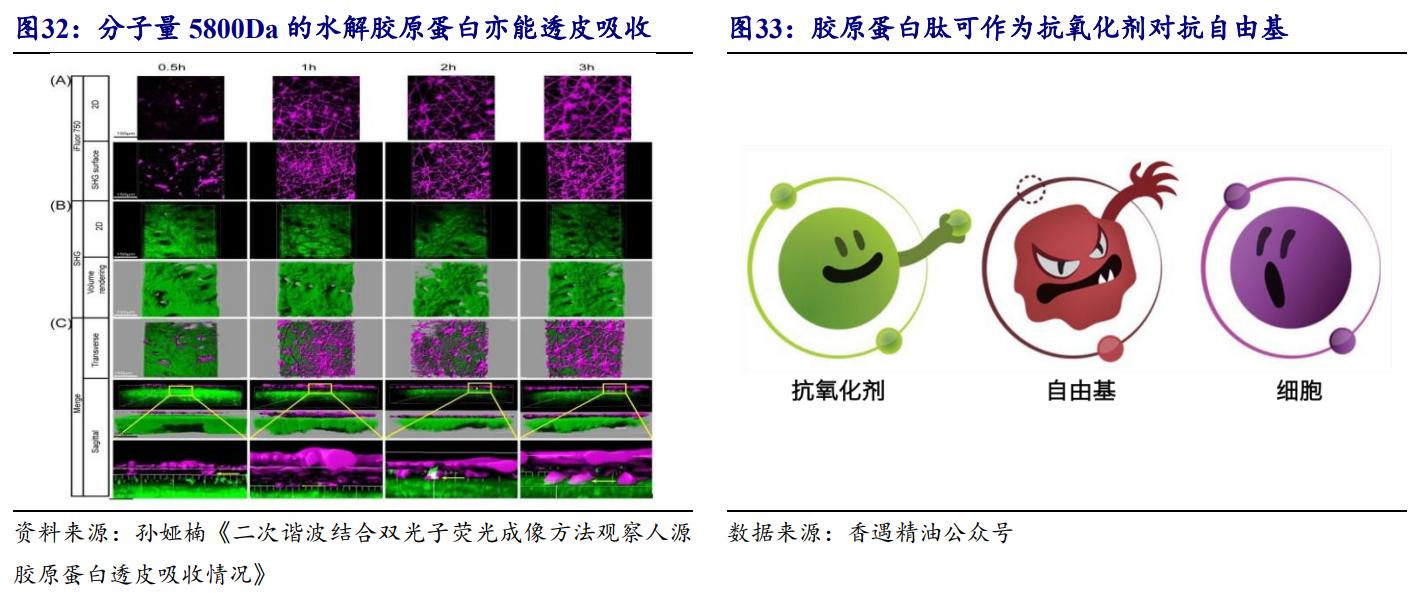 鑳跺師铔嬬櫧鍥藉唴宸蹭笂甯傜殑鍏,鑳跺師铔嬬櫧鑳藉惁鎴愪负璺ㄨ秺鍛ㄦ湡鍘熸枡