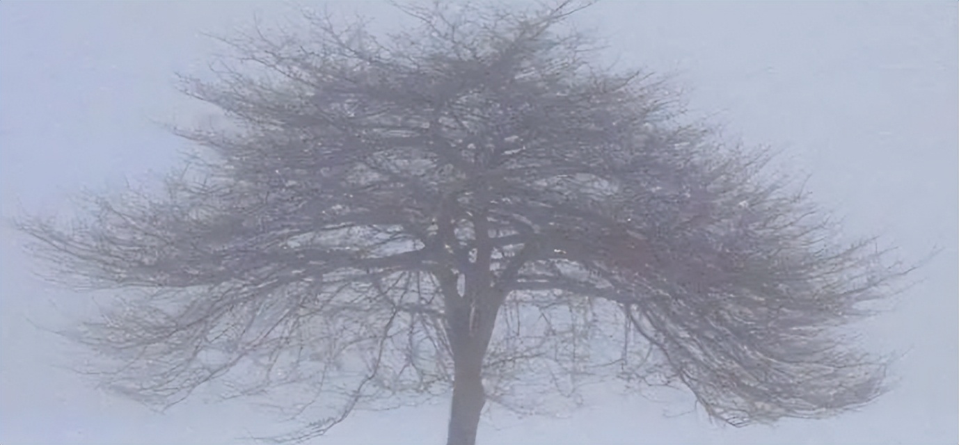 冬季的诉说聆听舒伯特《冬之旅》,舒伯特冬之旅是艺术歌曲还是歌剧