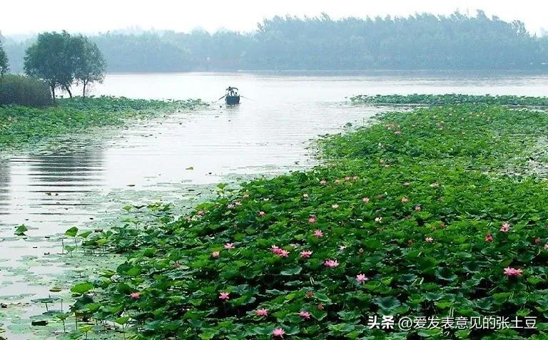 孙犁的白洋淀纪事读书笔记初中,阅读孙犁小说《白洋淀》的感悟