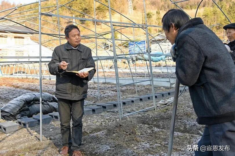 2019年出彩宣恩人,出彩宣恩评选结果公示