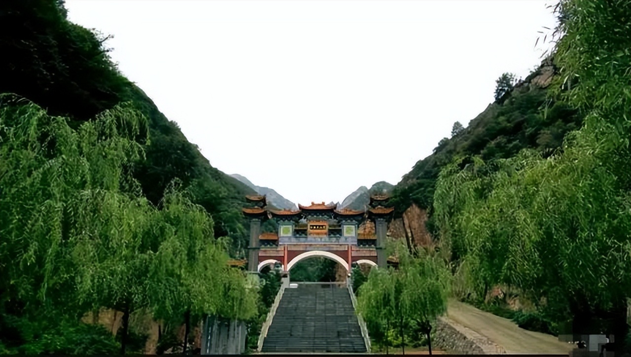 享受阳光享受大自然天然氧吧,值得一去的天然森林氧吧